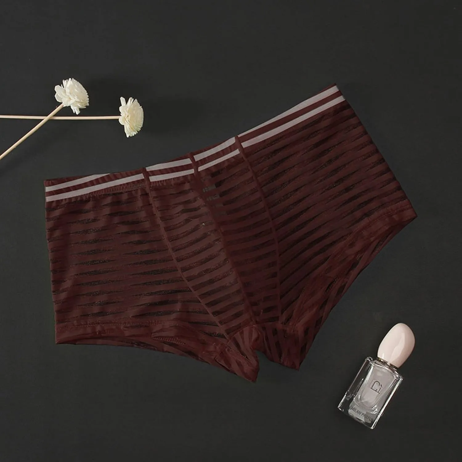 Boxer Briefs for Men Sexy Mid Waisted Cotton Breathable Striped Sheer Underwear Stretch Soft Pouch Comfortable Cool Trunks