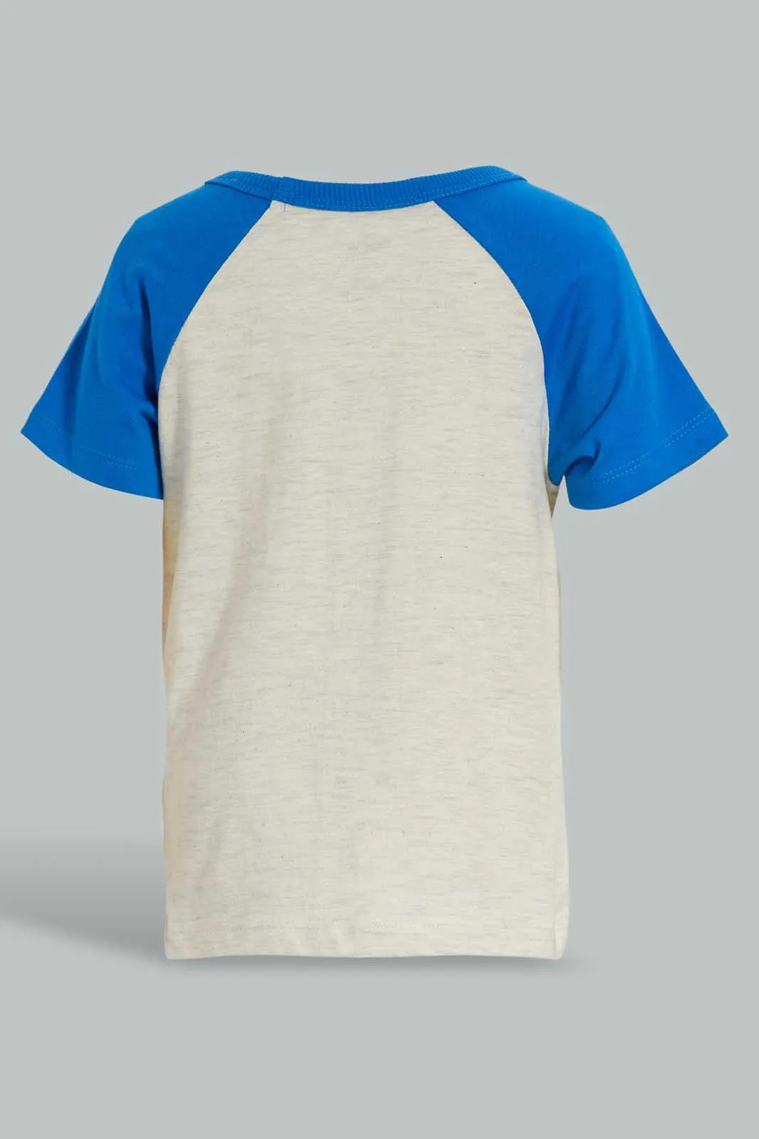 Grey And Beige Raglan T-Shirt For Baby Boys (Pack of 2)