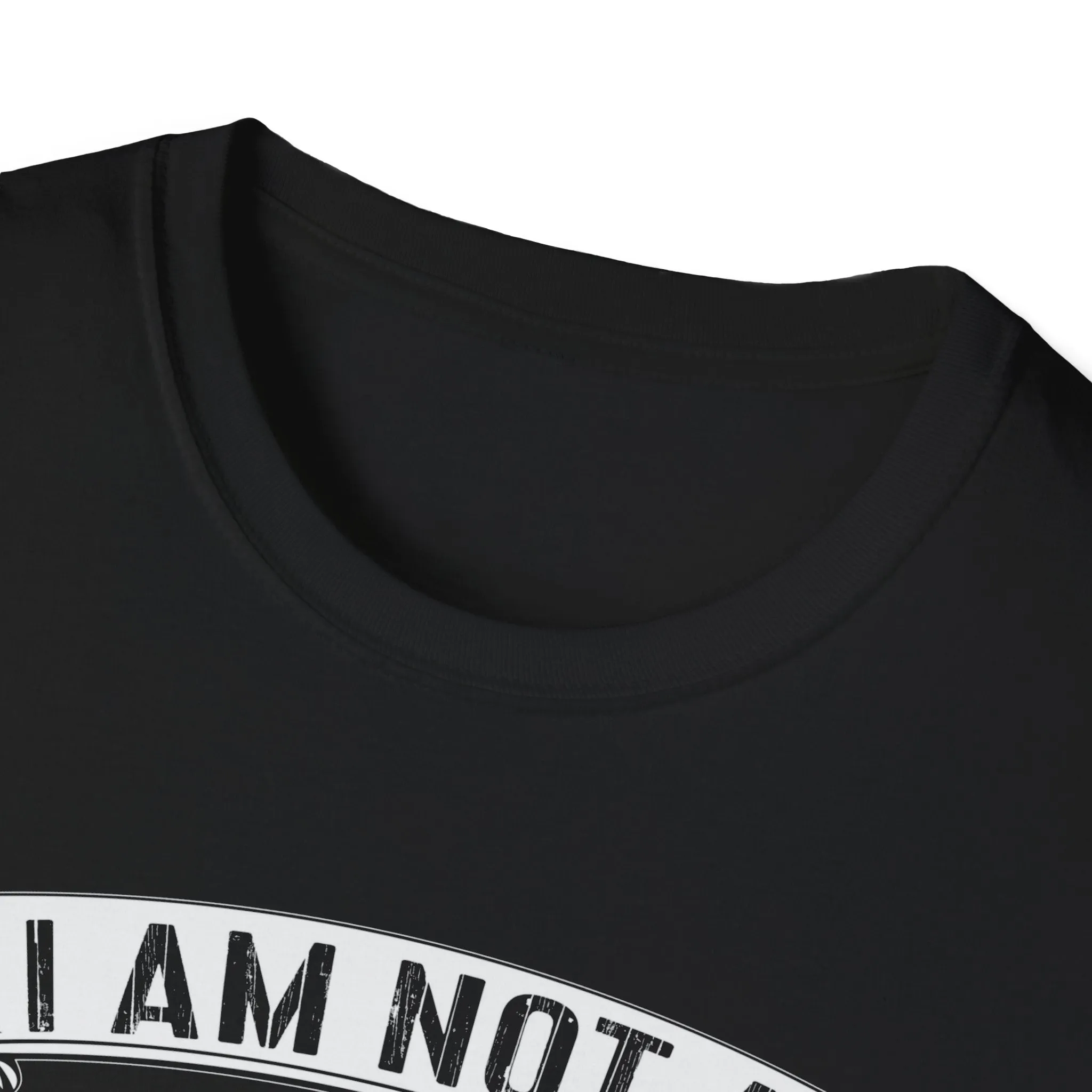 I Am Not A Princess I Am A Shield Maiden Viking T-Shirt