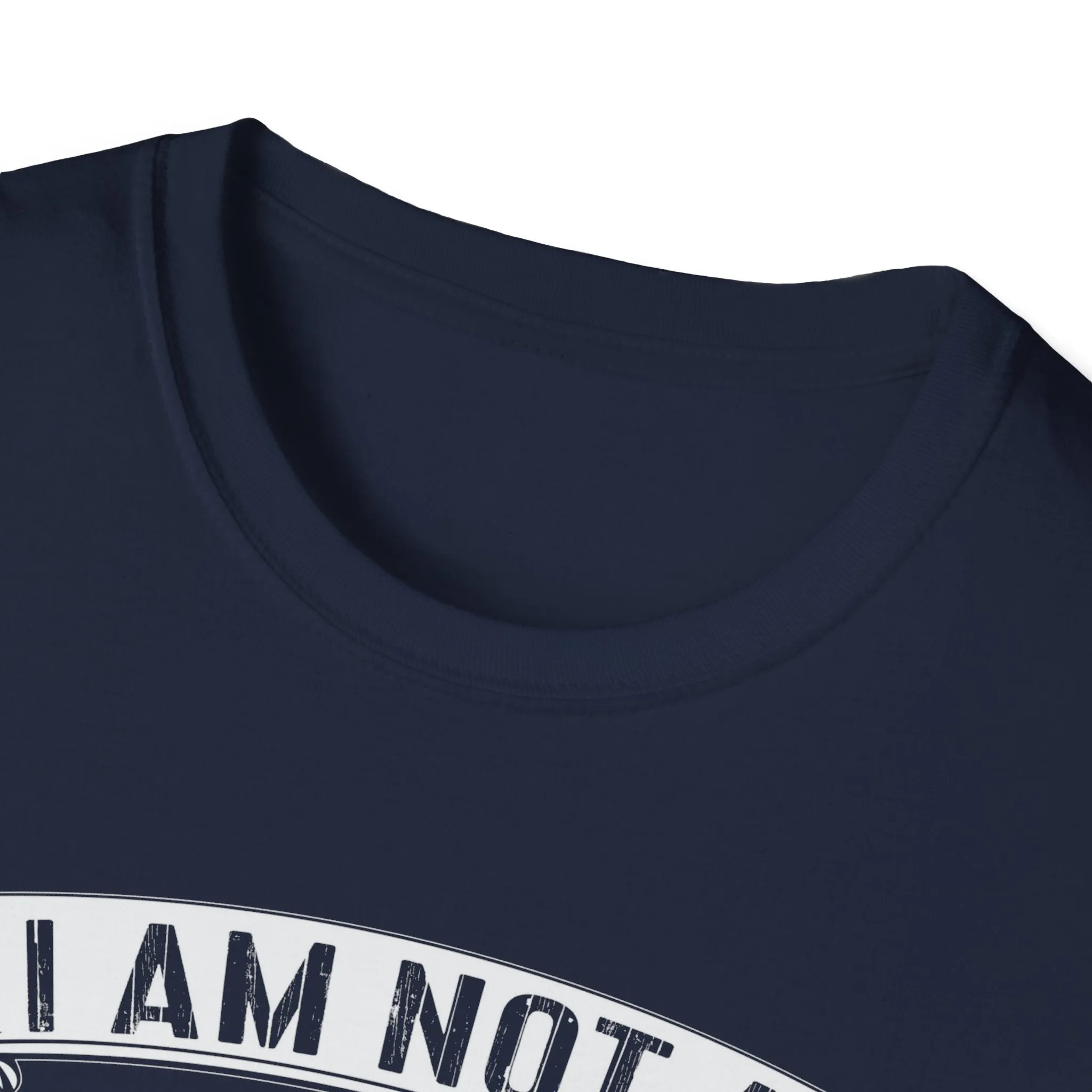 I Am Not A Princess I Am A Shield Maiden Viking T-Shirt