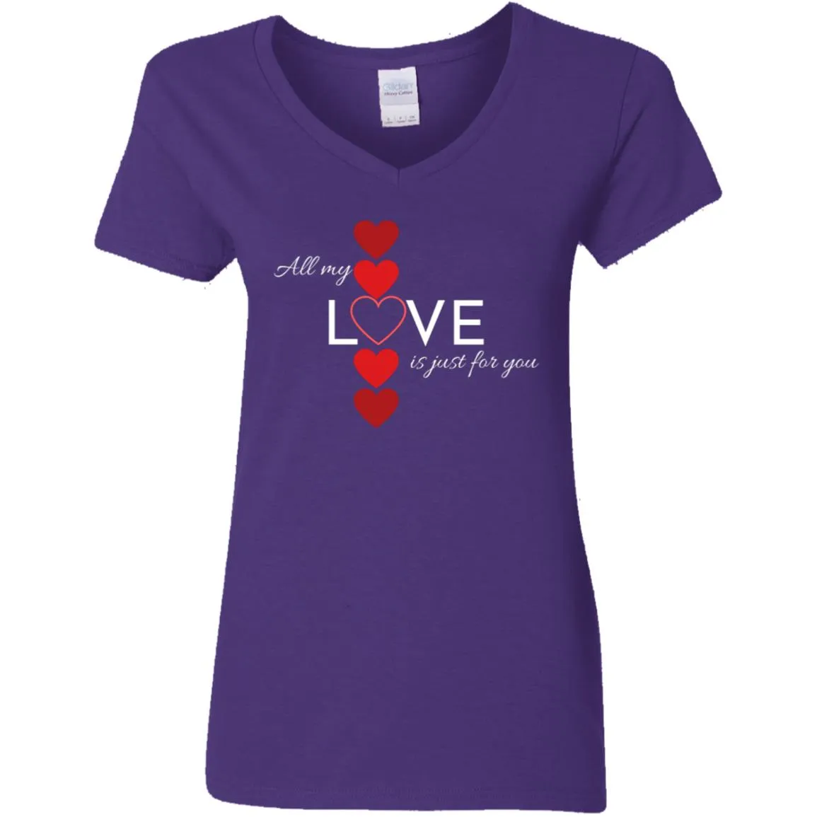 Ladies' V-Neck T-Shirt -- All My Love