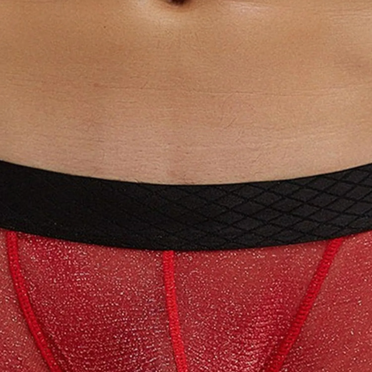 Mens Breathable Mesh Boxer Briefs Low Rise Stretch Breathable Underwear Boxer Sexy See Through Lingerie Underwear