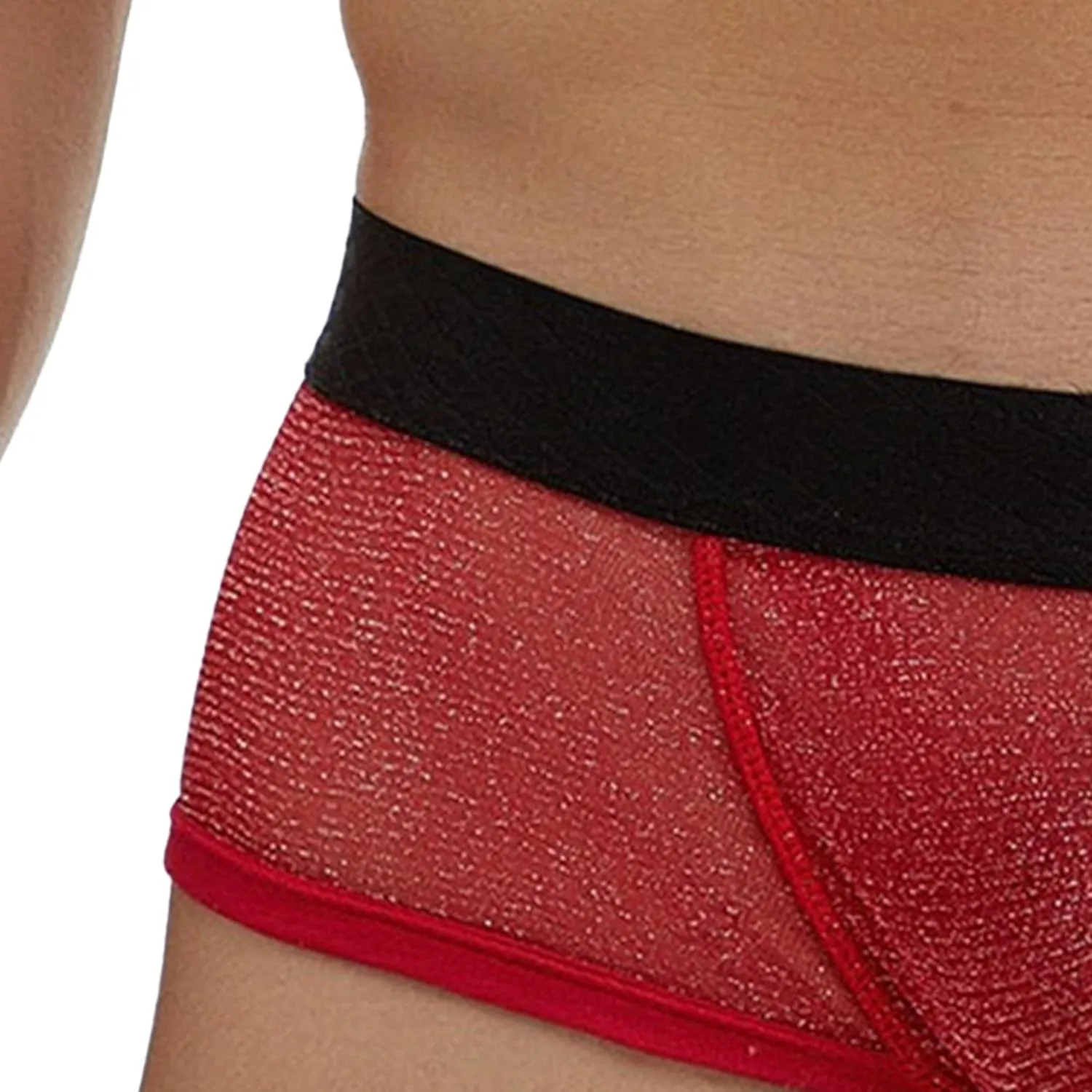 Mens Breathable Mesh Boxer Briefs Low Rise Stretch Breathable Underwear Boxer Sexy See Through Lingerie Underwear