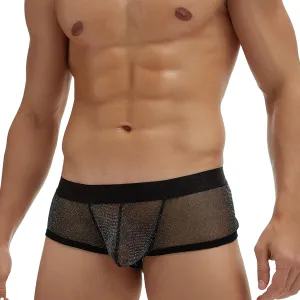 Mens Breathable Mesh Boxer Briefs Low Rise Stretch Breathable Underwear Boxer Sexy See Through Lingerie Underwear