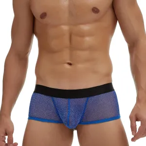 Mens Breathable Mesh Boxer Briefs Low Rise Stretch Breathable Underwear Boxer Sexy See Through Lingerie Underwear