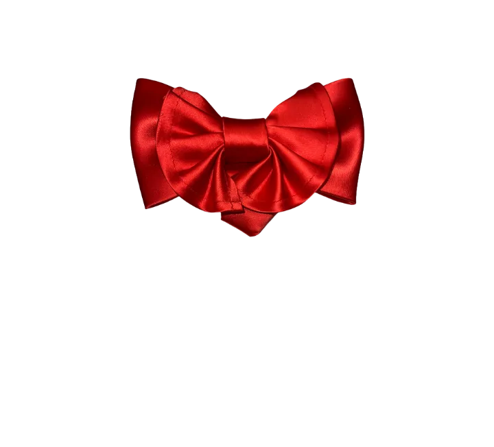 Men's Red Satin Big Bowties and Hanky