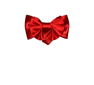 Men's Red Satin Big Bowties and Hanky