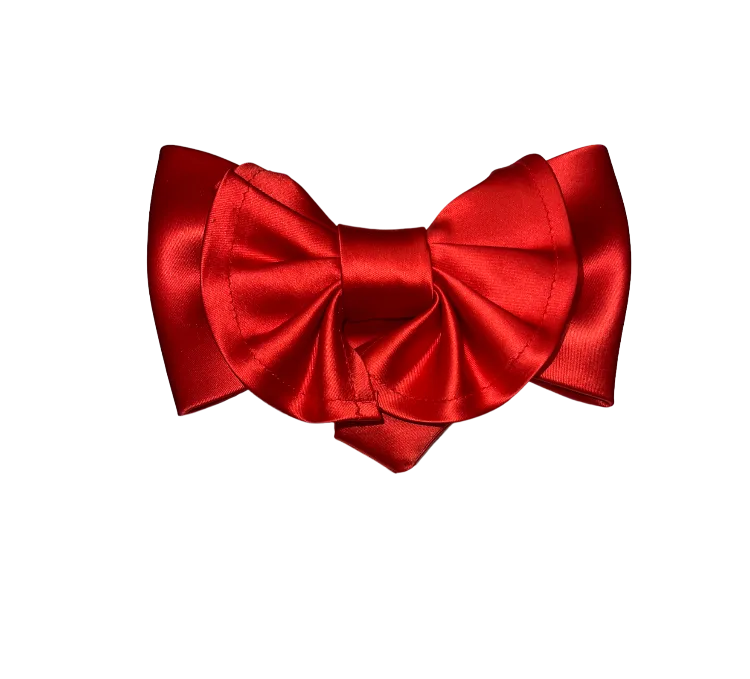 Men's Red Satin Big Bowties and Hanky