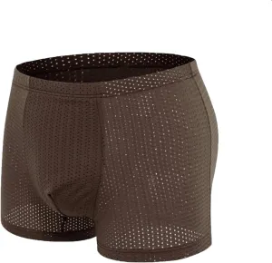 Mens Sexy Underwear Breathable Mesh Boxer Briefs See Through Hollow Lingerie Casual Solid Breathable Waist Underwear Panties