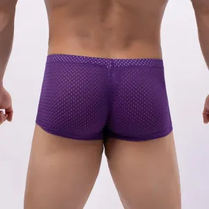 Men's Thin Breathable Mesh Boxer Briefs,Fashionable Solid Color Elastic Waistband Shorts,Soft Chafing Underwear