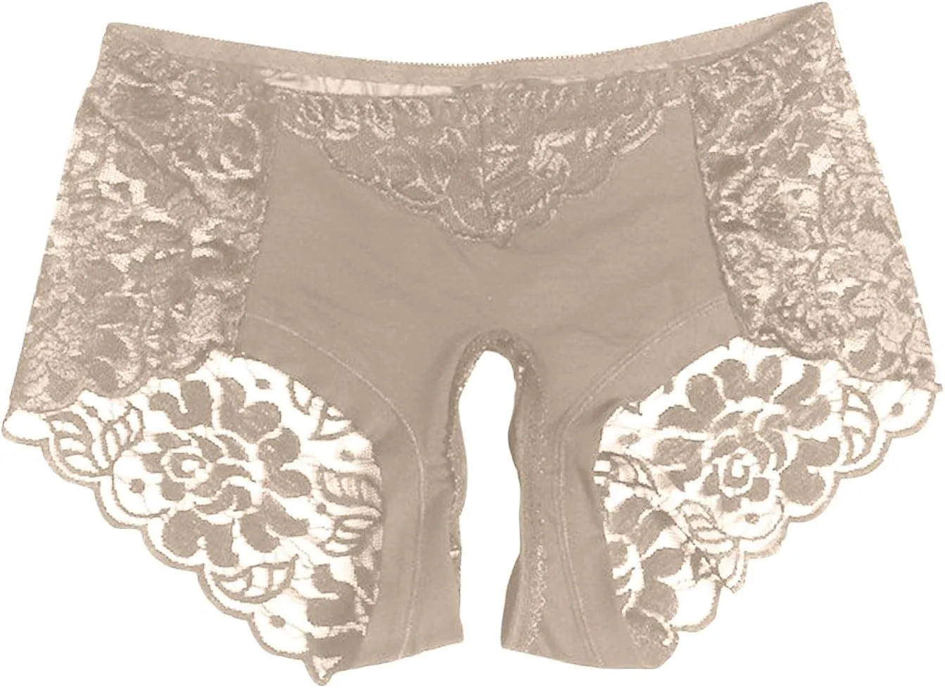 Sexy Lace Sheer Panties for Women Hollow Out Mesh See Through Erotic Briefs Plus Size Valentine Honeymoon Underpant