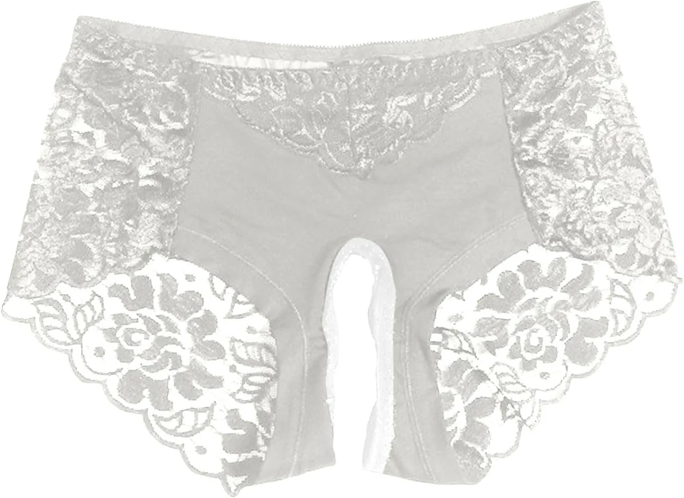 Sexy Lace Sheer Panties for Women Hollow Out Mesh See Through Erotic Briefs Plus Size Valentine Honeymoon Underpant