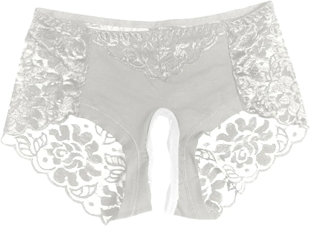 Sexy Lace Sheer Panties for Women Hollow Out Mesh See Through Erotic Briefs Plus Size Valentine Honeymoon Underpant