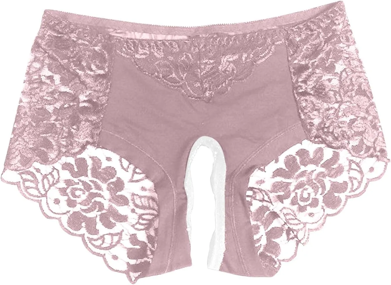 Sexy Lace Sheer Panties for Women Hollow Out Mesh See Through Erotic Briefs Plus Size Valentine Honeymoon Underpant