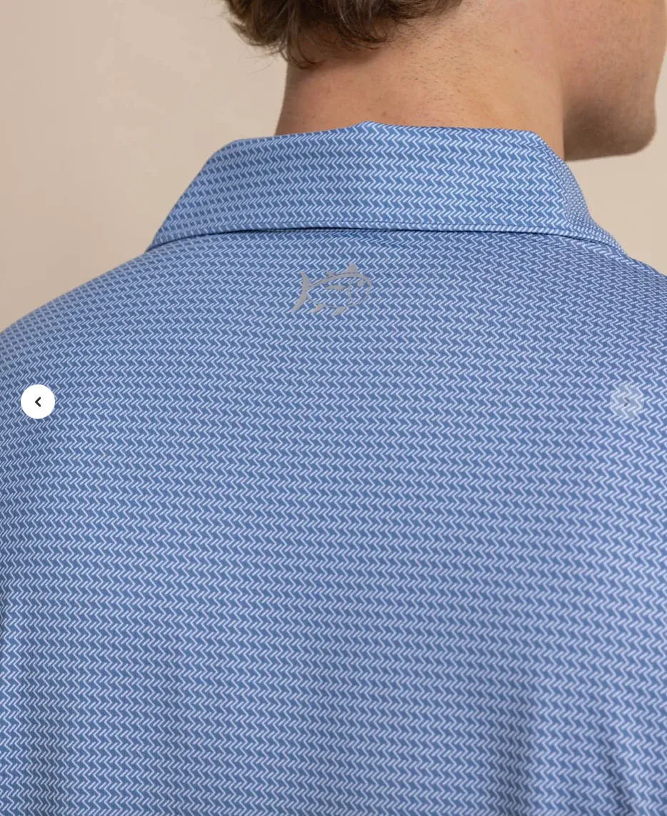 Southern Tide Driver Getting Ziggy Polo Coronet Blue