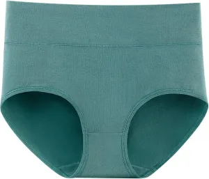 TANGNADE Women's High Waisted Seamless Underwear Full Coverage Brief Ladies No Show Panties Lingerie Plus Size