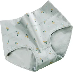 Women's Panty Underwear Seamless Breathable Stretch High Waist Briefs Underpant Soft Comfy Organic Cotton Panties